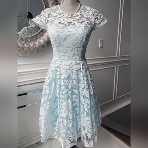 Ted Baker Light Blue Floral Dress